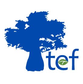 Tanzania Education Fund Logo